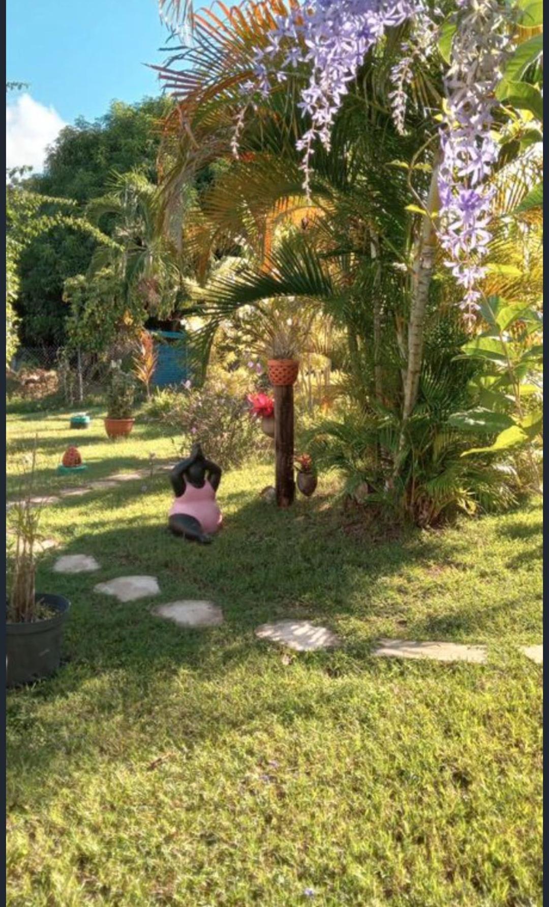 Gite Cajou Dans Jardin Tropical Ventile A Sainte-Anne Exterior foto