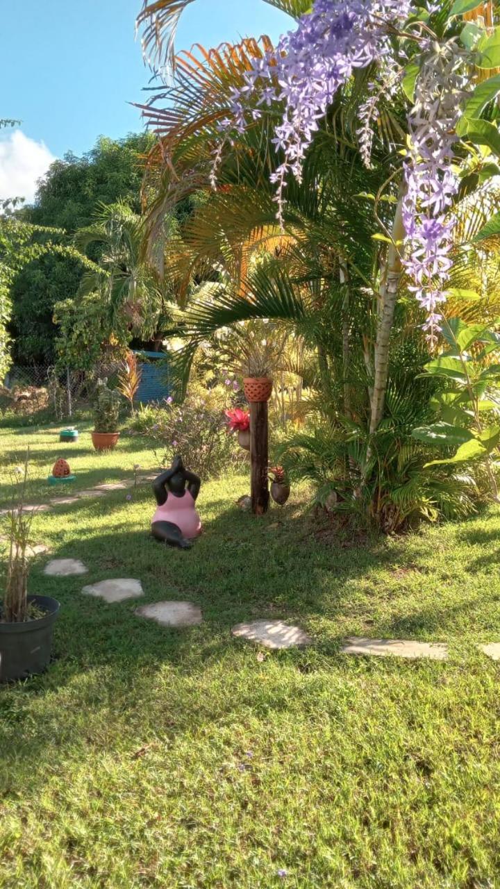 Gite Cajou Dans Jardin Tropical Ventile A Sainte-Anne Exterior foto