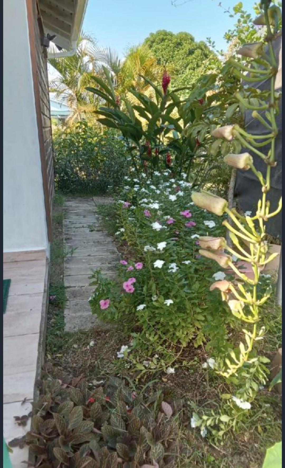 Gite Cajou Dans Jardin Tropical Ventile A Sainte-Anne Exterior foto
